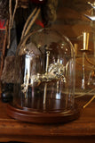 Carousel Glass Dome - Cazenovia Abroad
